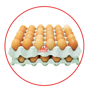 Oeuf